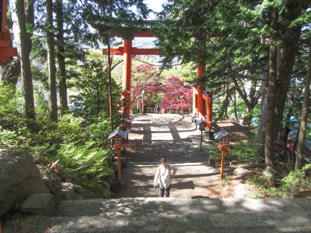 山梨縣富士吉田市 新倉山 新倉富士淺間神社 三國第一山朱紅鳥居