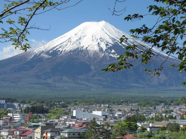 新倉山淺間公園(新倉淺間公園) 眺望富士山