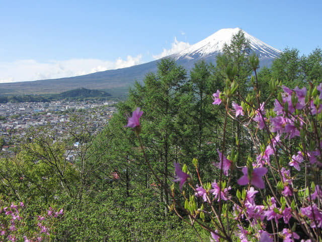 新倉山淺間公園(新倉淺間公園) 眺望富士山