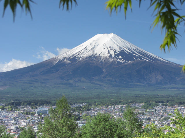 新倉山淺間公園(新倉淺間公園) 眺望富士山