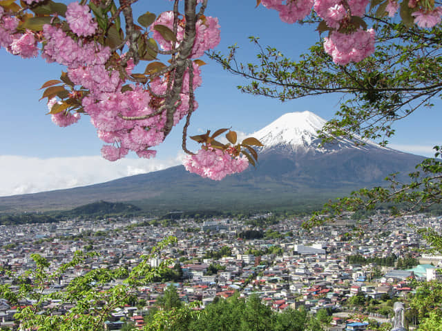 新倉山淺間公園(新倉淺間公園) 眺望富士山