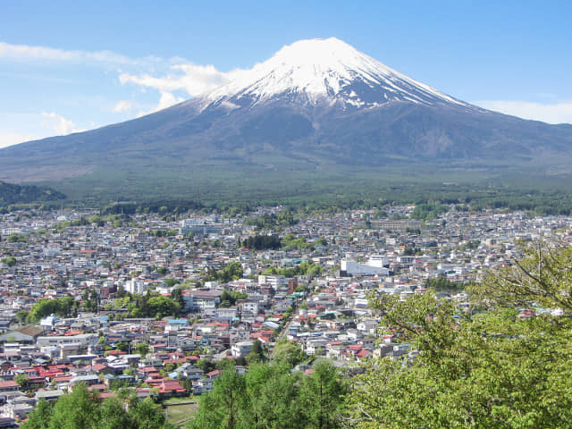 新倉山淺間公園 (新倉淺間公園) 眺望富士山壯麗景色