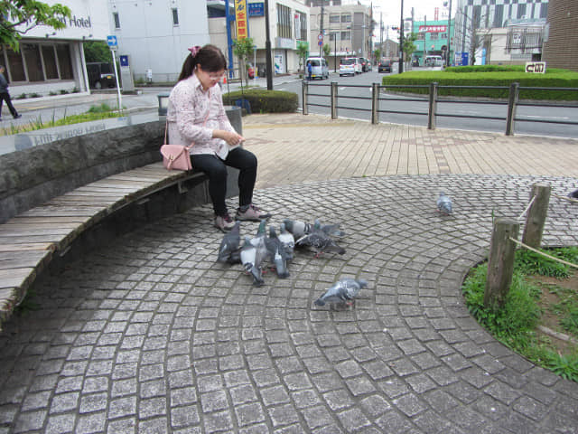 靜岡縣富士市 富士火車站前公園