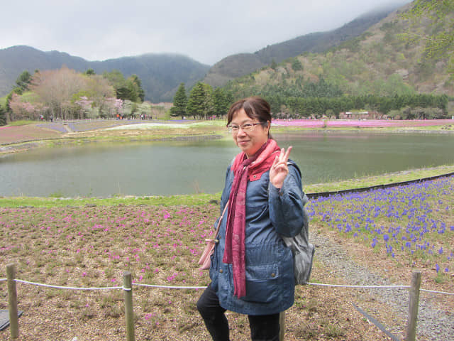 山梨縣 富士芝櫻祭 (富士本栖湖度假區)  竜神池芝櫻