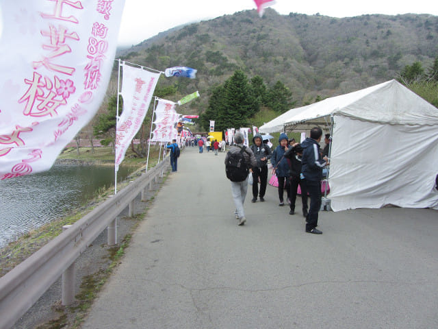 山梨縣 富士芝櫻祭會場 第二入園口