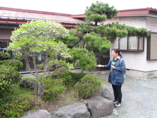 山梨縣富士吉田市 步行往新倉山淺間公園 (新倉富士淺間公園)