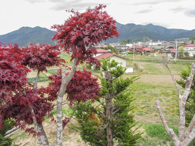 山梨縣富士吉田市 步行往新倉淺間公園、忠靈塔