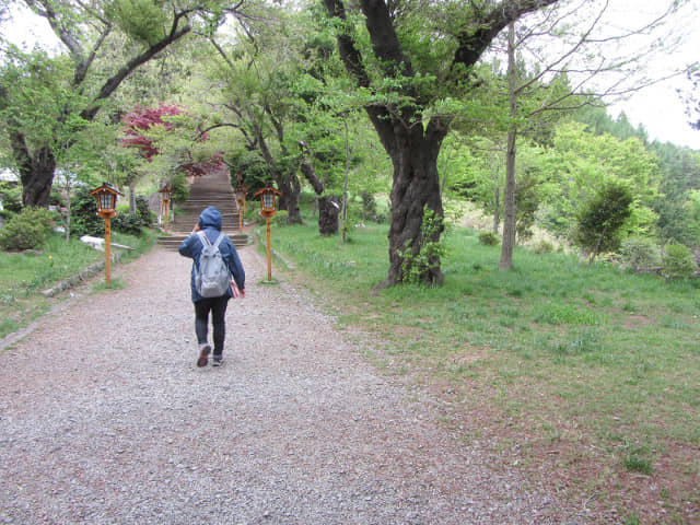 山梨縣富士吉田市 新倉山淺間公園 (新倉淺間公園) 登山口