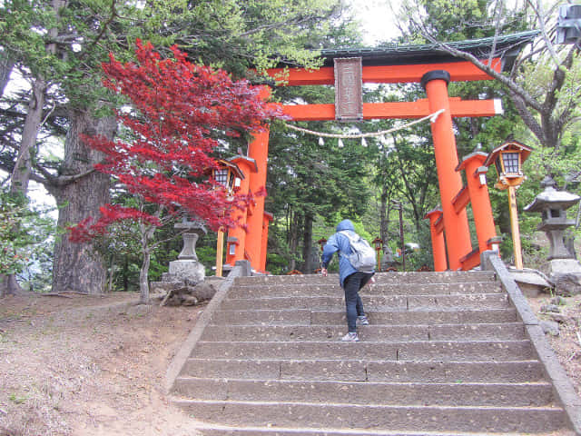 山梨縣富士吉田市 新倉山 新倉富士淺間神社 三國第一山朱紅鳥居