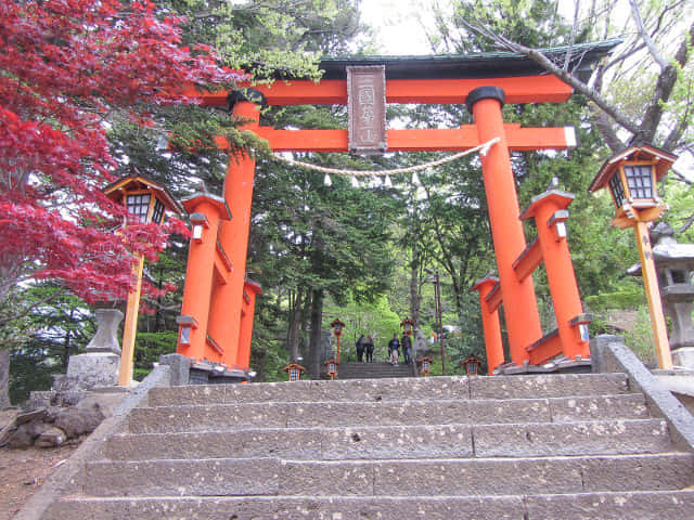 山梨縣富士吉田市 新倉山 新倉富士淺間神社 三國第一山朱紅鳥居