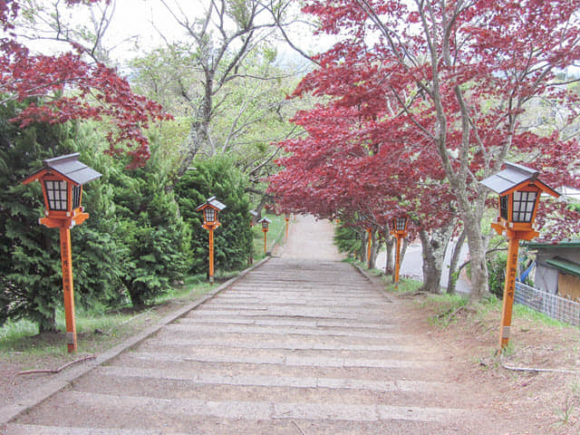 山梨縣富士吉田市 新倉山 新倉富士淺間神社紅葉参道