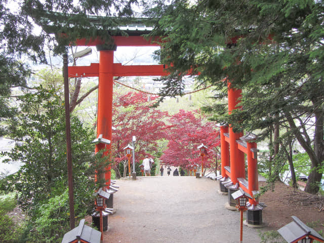 山梨縣富士吉田市 新倉山 新倉富士淺間神社 三國第一山朱紅鳥居