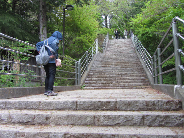 山梨縣富士吉田市 新倉山淺間公園 (新倉淺間公園) 登山石階