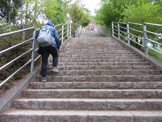 山梨縣富士吉田市 新倉山淺間公園 (新倉淺間公園) 登山石階