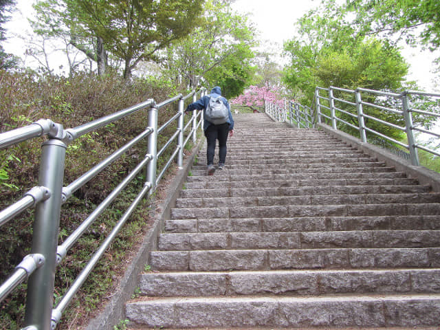 山梨縣富士吉田市 新倉山淺間公園 (新倉淺間公園) 登山石階