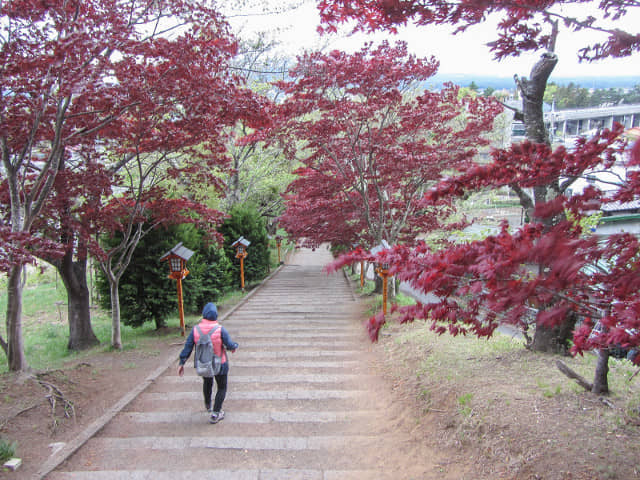 新倉山淺間公園登山口(新倉富士淺間神社参道入口)紅葉