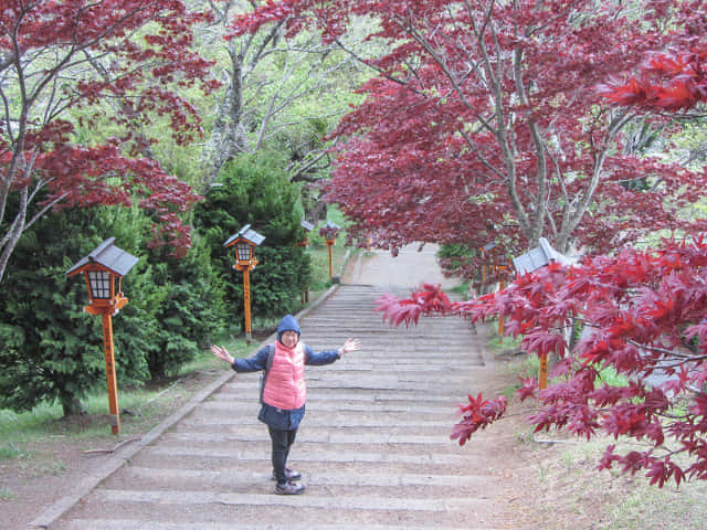 新倉山淺間公園登山口(新倉富士淺間神社参道入口)紅葉