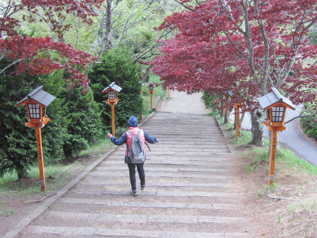 新倉山淺間公園登山口(新倉富士淺間神社参道入口)紅葉