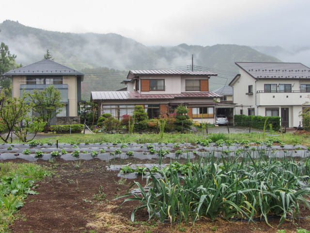 山梨縣 富士吉田市 菜田和房子