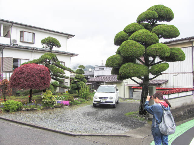 富士河口湖町 河口湖駅步行往河口湖畔