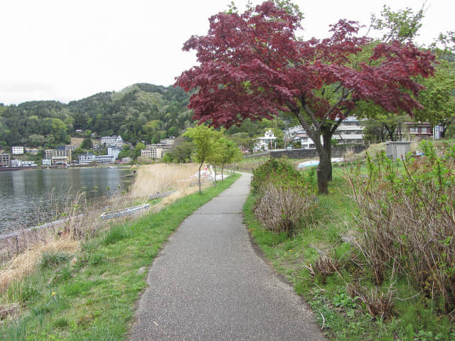 山梨縣富士河口湖町 河口湖畔步道