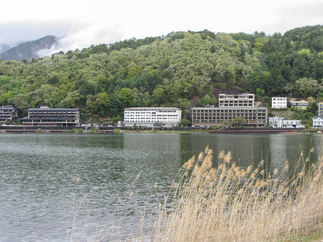 山梨縣富士河口湖町 河口湖