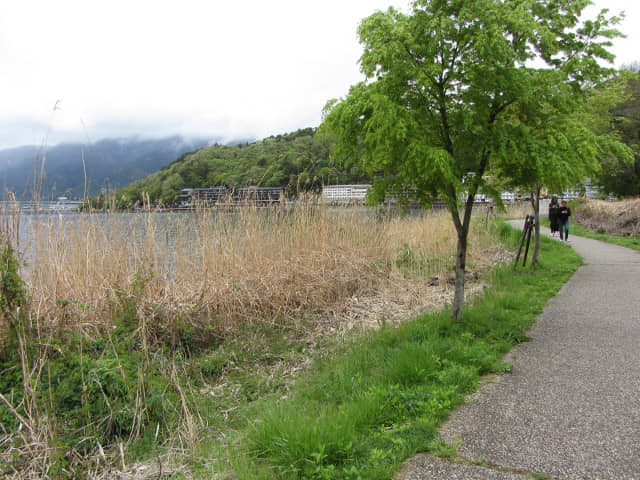 山梨縣富士河口湖町 河口湖畔步道