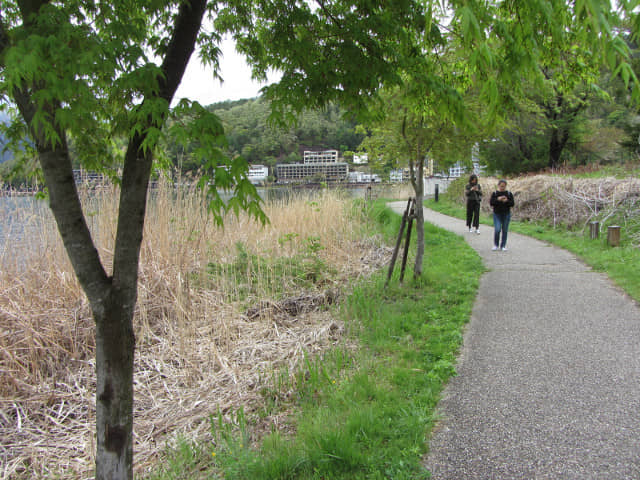 山梨縣富士河口湖町 河口湖畔步道