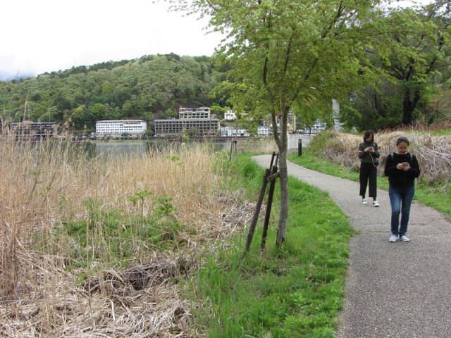 山梨縣富士河口湖町 河口湖畔步道