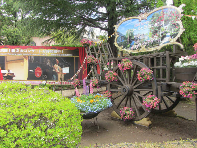 山梨縣富士河口湖町 河口湖音樂盒之森美術館