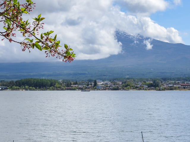 河口湖 富士山