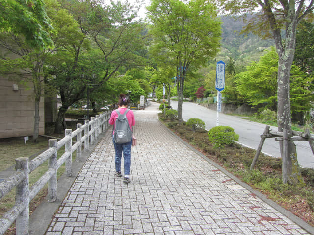 山梨縣富士河口湖町 河口湖畔步路