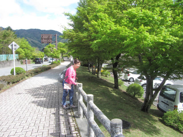 山梨縣富士河口湖町 河口湖畔步路