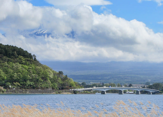 河口湖 富士山