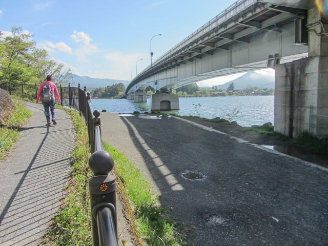 山梨縣富士河口湖町 河口湖大橋