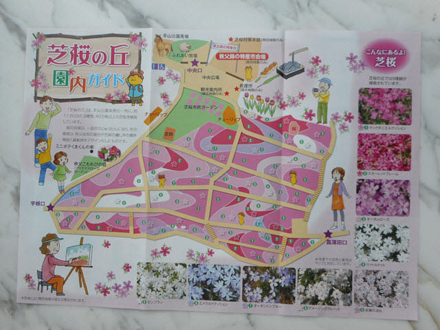 埼玉縣．羊山公園芝櫻之丘 地圖