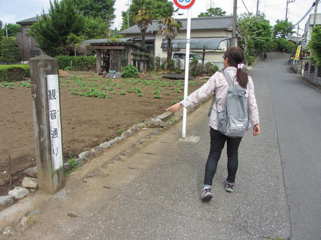 青梅市．塩船觀音寺入口巴士站沿觀音通り步行往塩船觀音寺