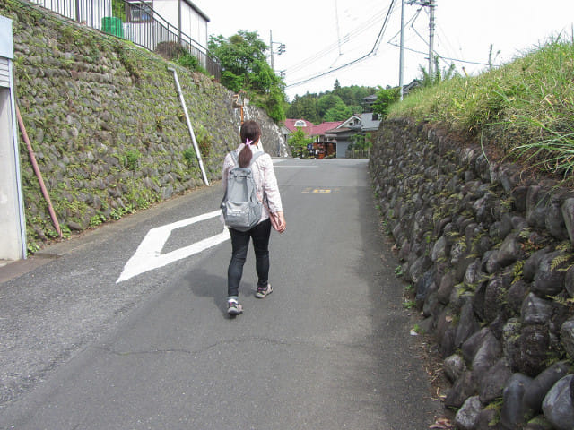 青梅市．塩船觀音寺入口巴士站沿觀音通り步行往塩船觀音寺