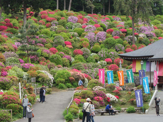 鹽船觀音寺 護摩堂杜鵑花園