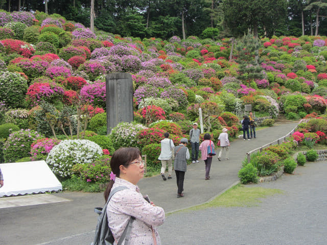 鹽船觀音寺 (塩船観音寺) 杜鵑花祭