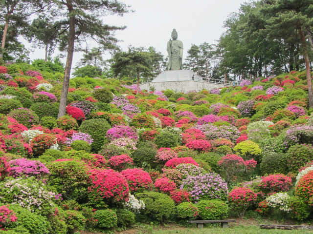 鹽船觀音寺．護摩堂前方水池 杜鵑花 觀音像