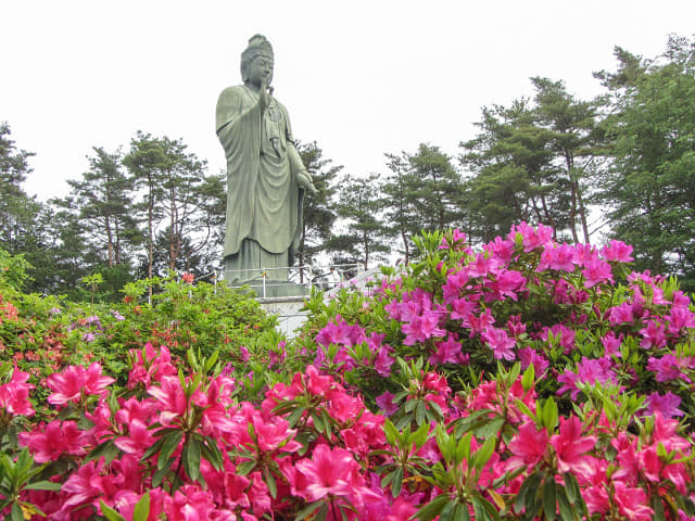 鹽船觀音寺 杜鵑花園山丘上的觀音像