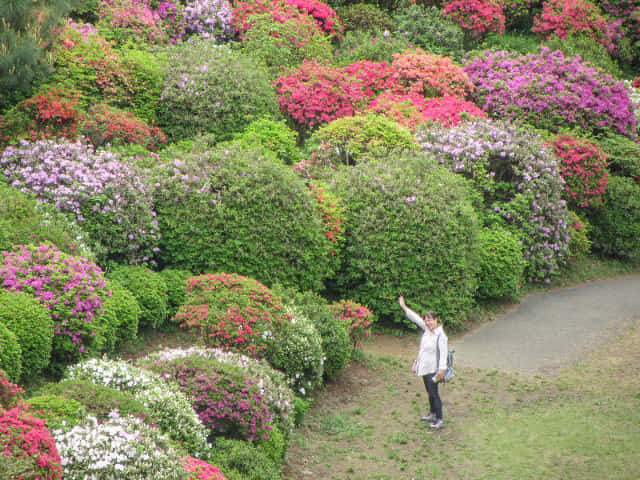 鹽船觀音寺．杜鵑花園