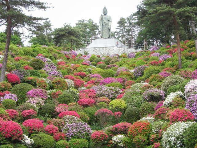 鹽船觀音寺．杜鵑花園