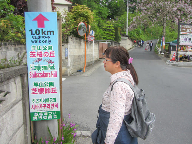 埼玉縣．西武秩父駅步行往羊山公園芝櫻之丘