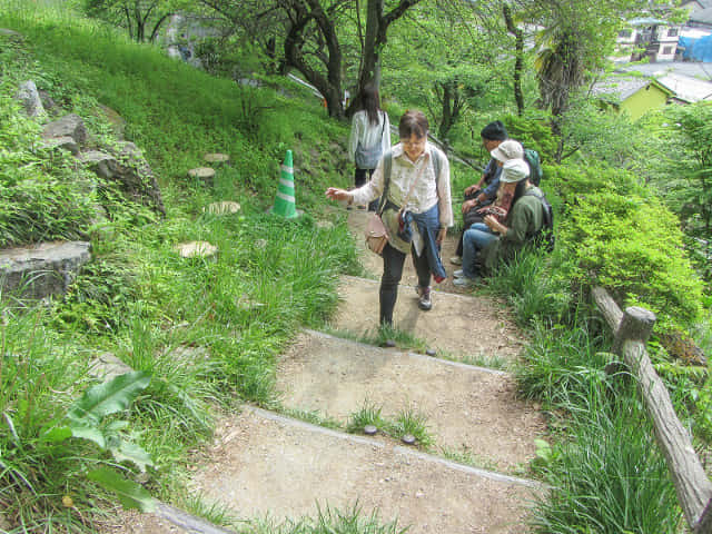 埼玉縣．羊山公園 牧水之滝 