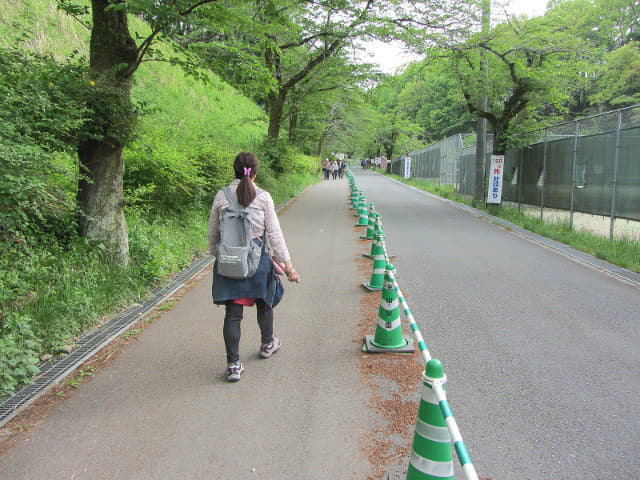 埼玉縣．羊山公園 沿秩父路走往芝櫻之丘