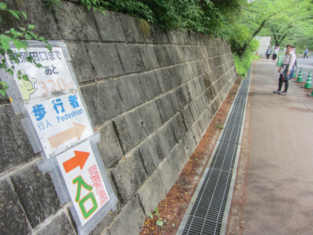 埼玉縣．羊山公園 沿秩父路走往芝櫻之丘