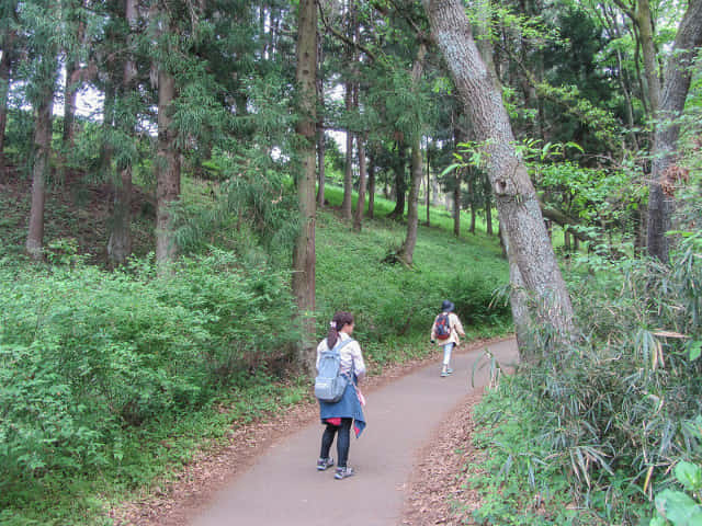 埼玉縣．羊山公園 野鳥のさえずる森