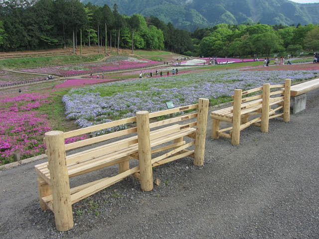 羊山公園．芝櫻之丘 埼玉縣秩父市